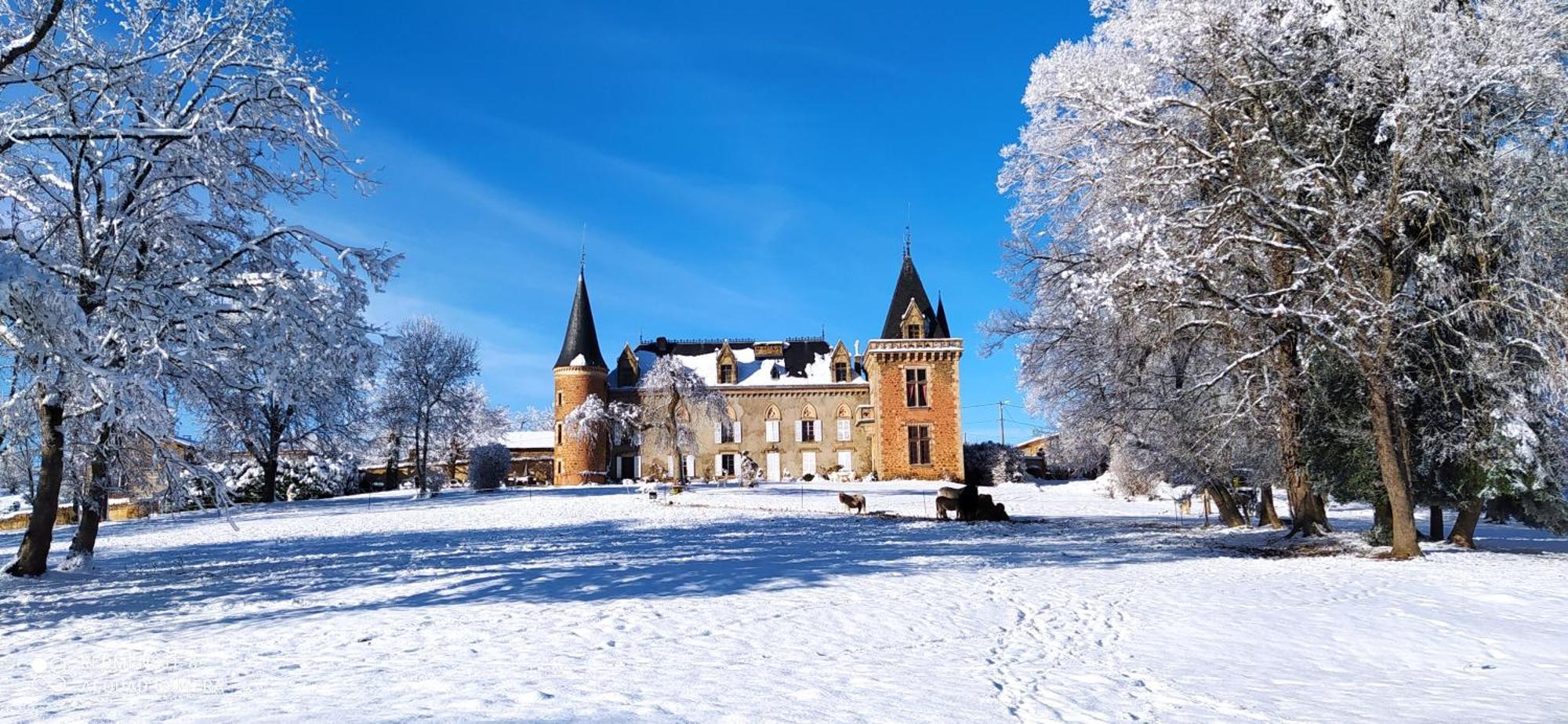 Chateau De La Forie Saint-Etienne-sur-Usson Exterior foto